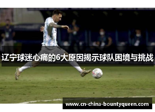 辽宁球迷心痛的6大原因揭示球队困境与挑战