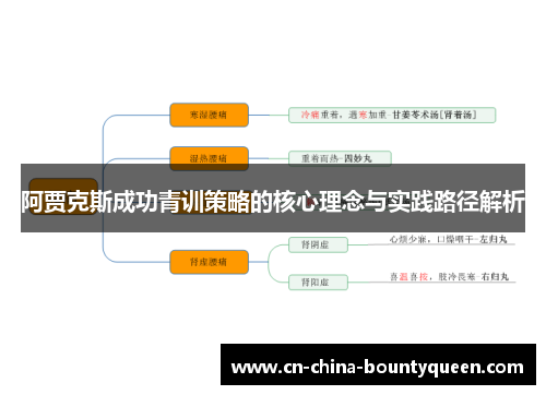 阿贾克斯成功青训策略的核心理念与实践路径解析