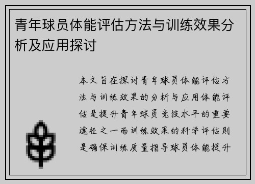 青年球员体能评估方法与训练效果分析及应用探讨