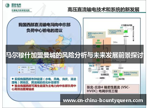 马尔穆什加盟曼城的风险分析与未来发展前景探讨