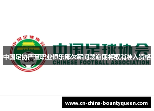 中国足协严查职业俱乐部欠薪问题逾期将取消准入资格 中国足协严查职业俱乐部欠薪问题逾期将取消准入资格